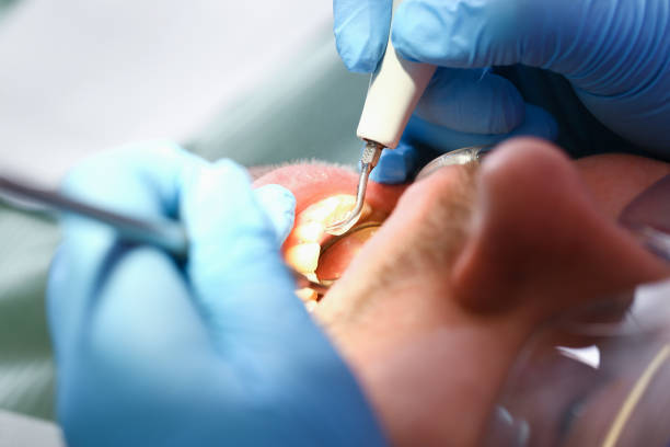 Best Emergency Dental Services for Seniors in Pegram, TN